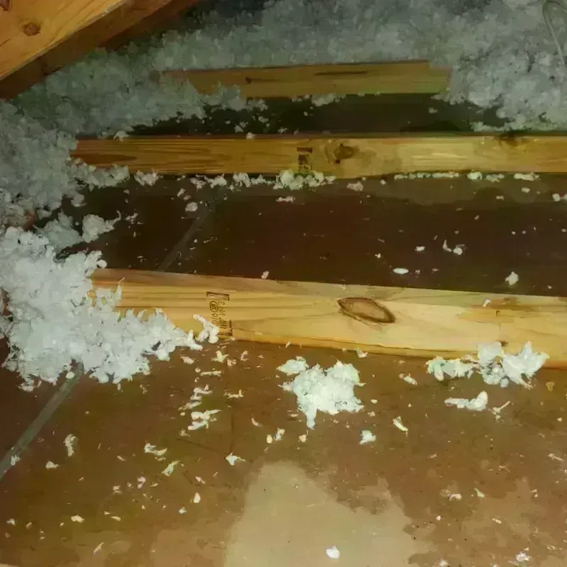 Attic Water Damage in Brockton, MA